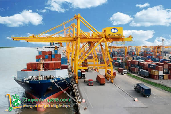 Chuyenhang365 - Đơn vị vận chuyển hàng Trung Quốc về Hải Phòng uy tín 